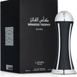 61Tf8EOm0nL._AC_UF894,1000_QL80_ WINNERS TROPHY