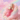 COTTON CANDY LE CHAMEAU