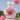 Taif Rose